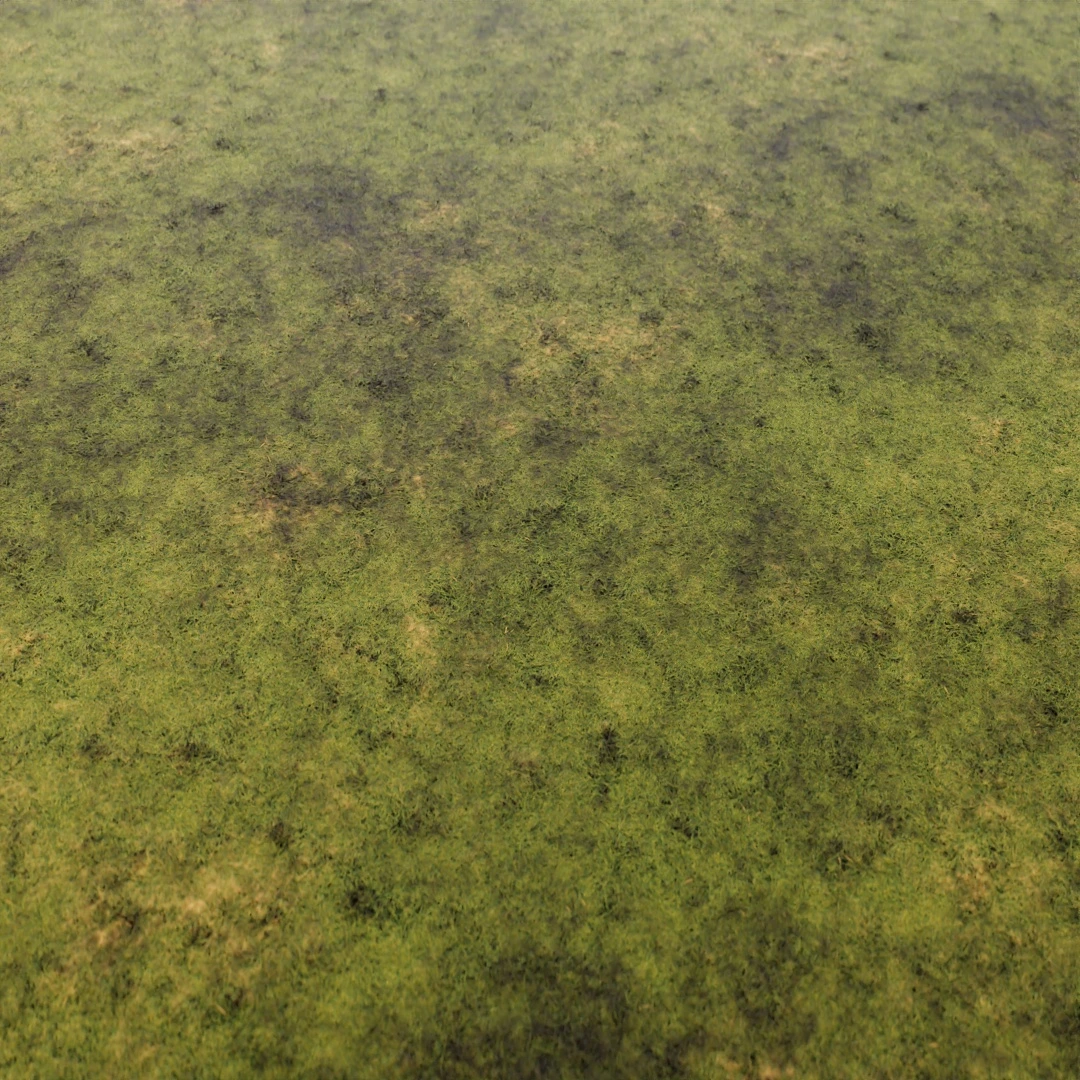 Fresh Green Grass Texture