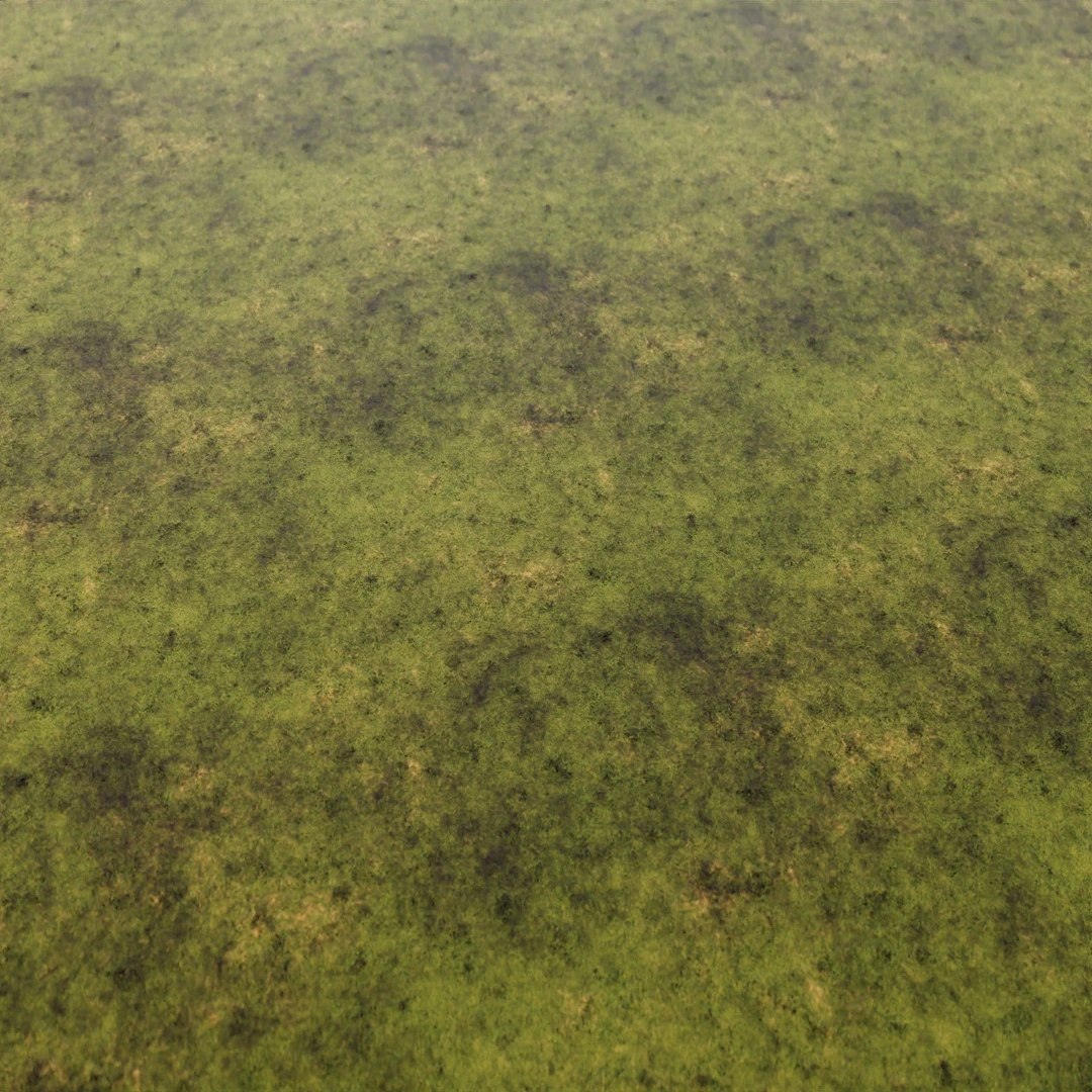 Fresh Green Grass Texture