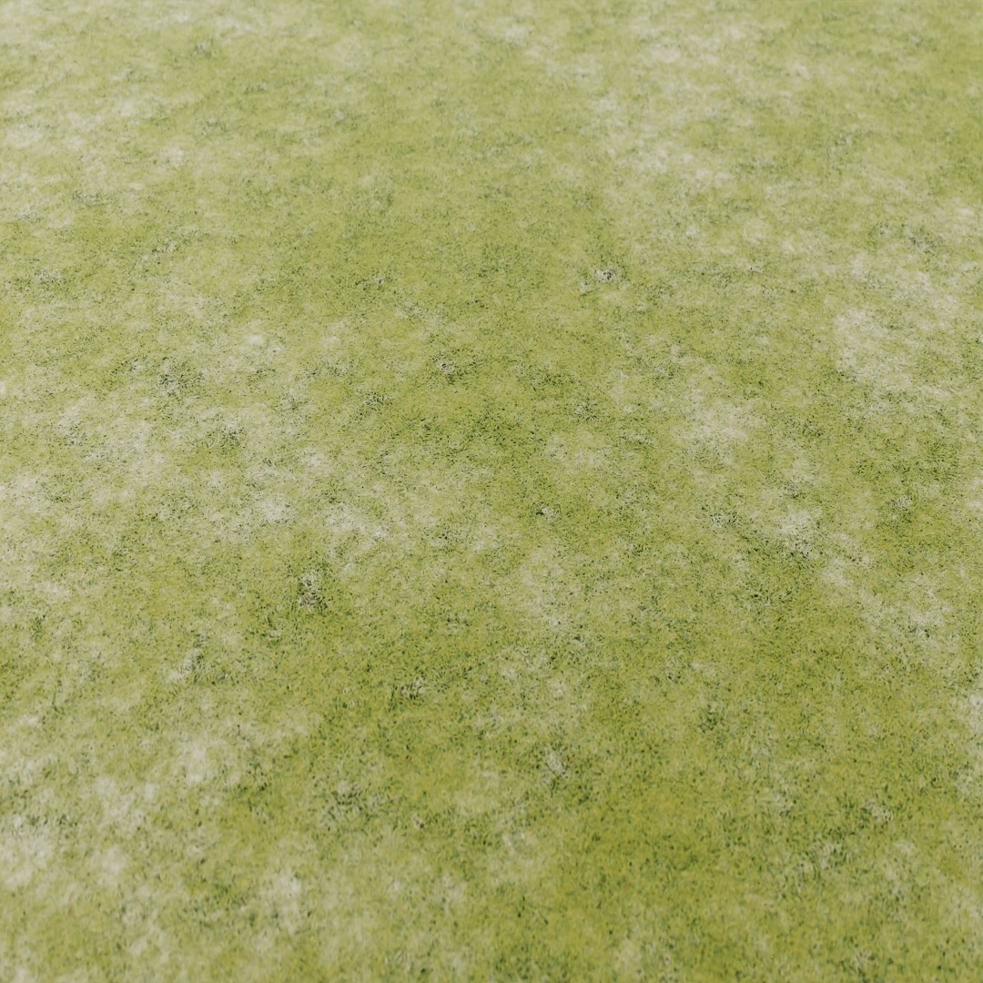 Fresh Green Short Grass Texture