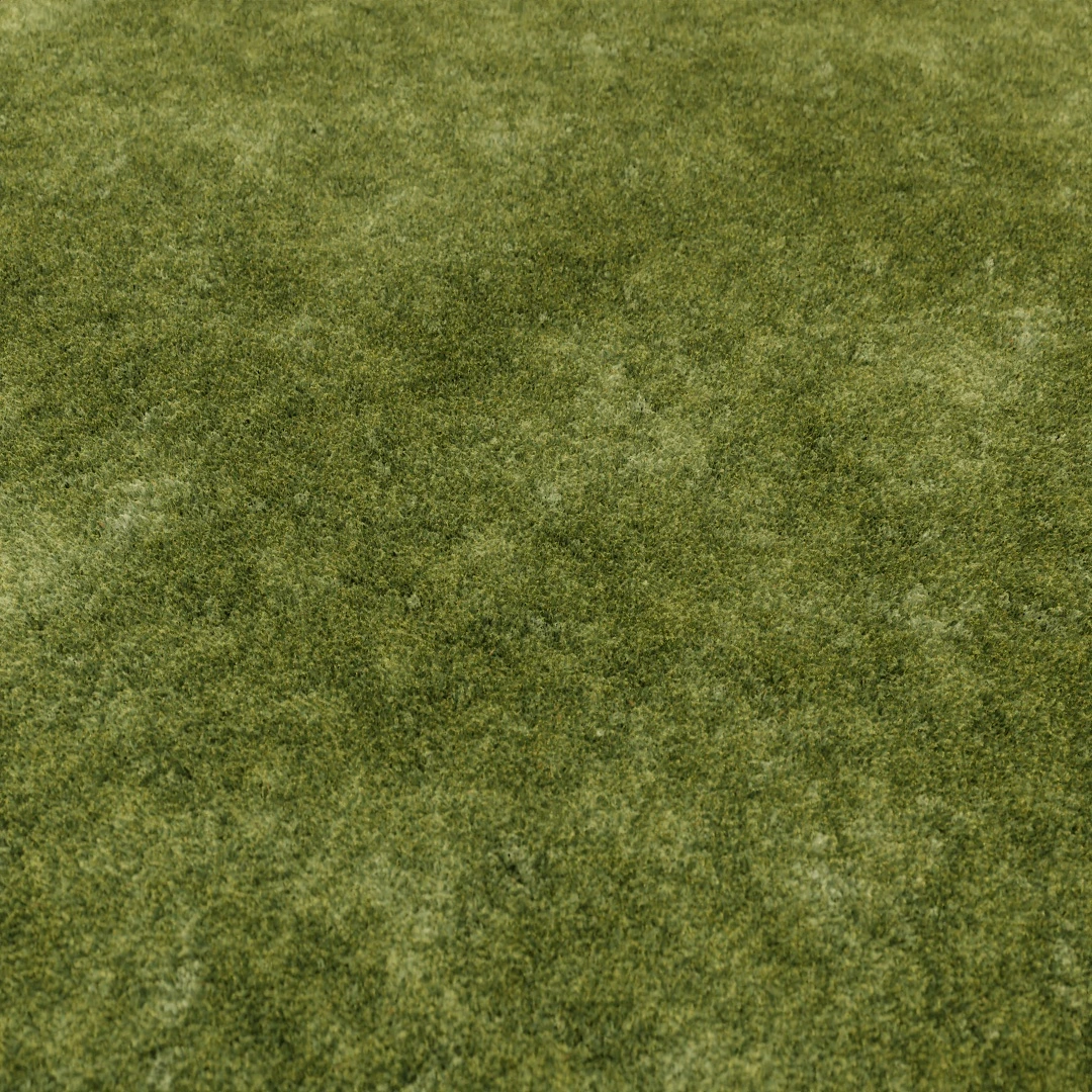 Fresh Short Grass Texture