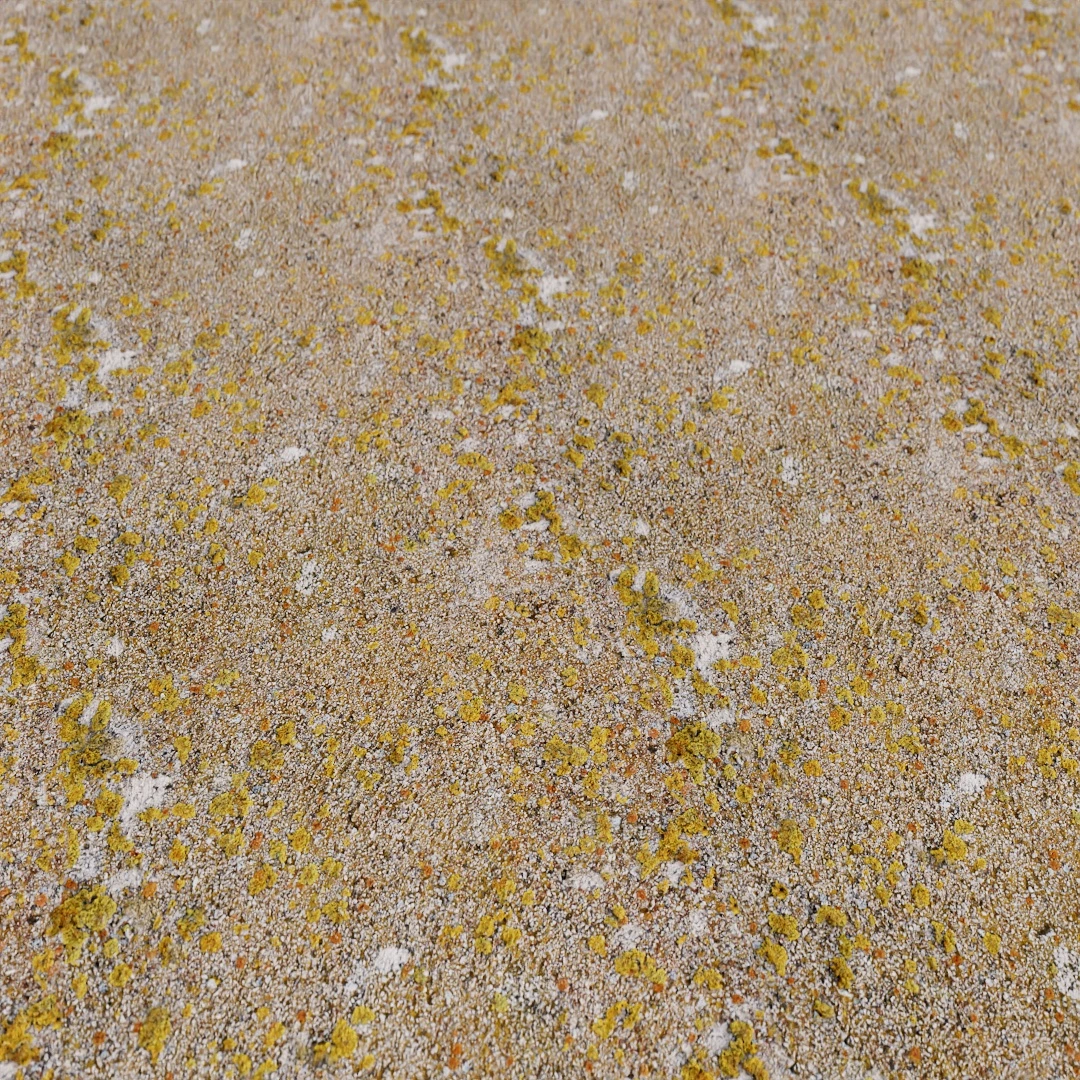 Ground Mossy Rock Texture