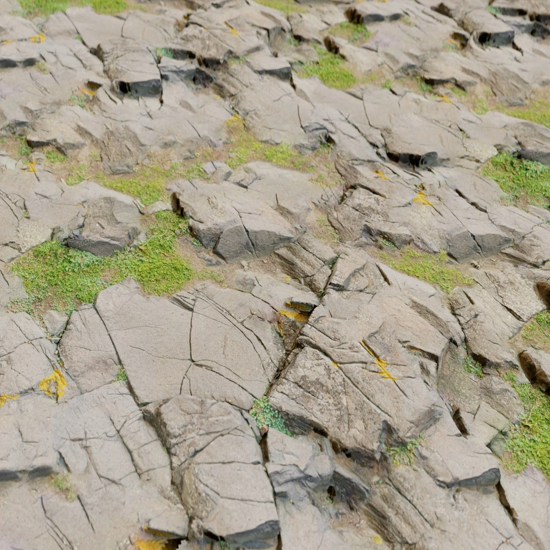 Ground Mossy Rock Texture