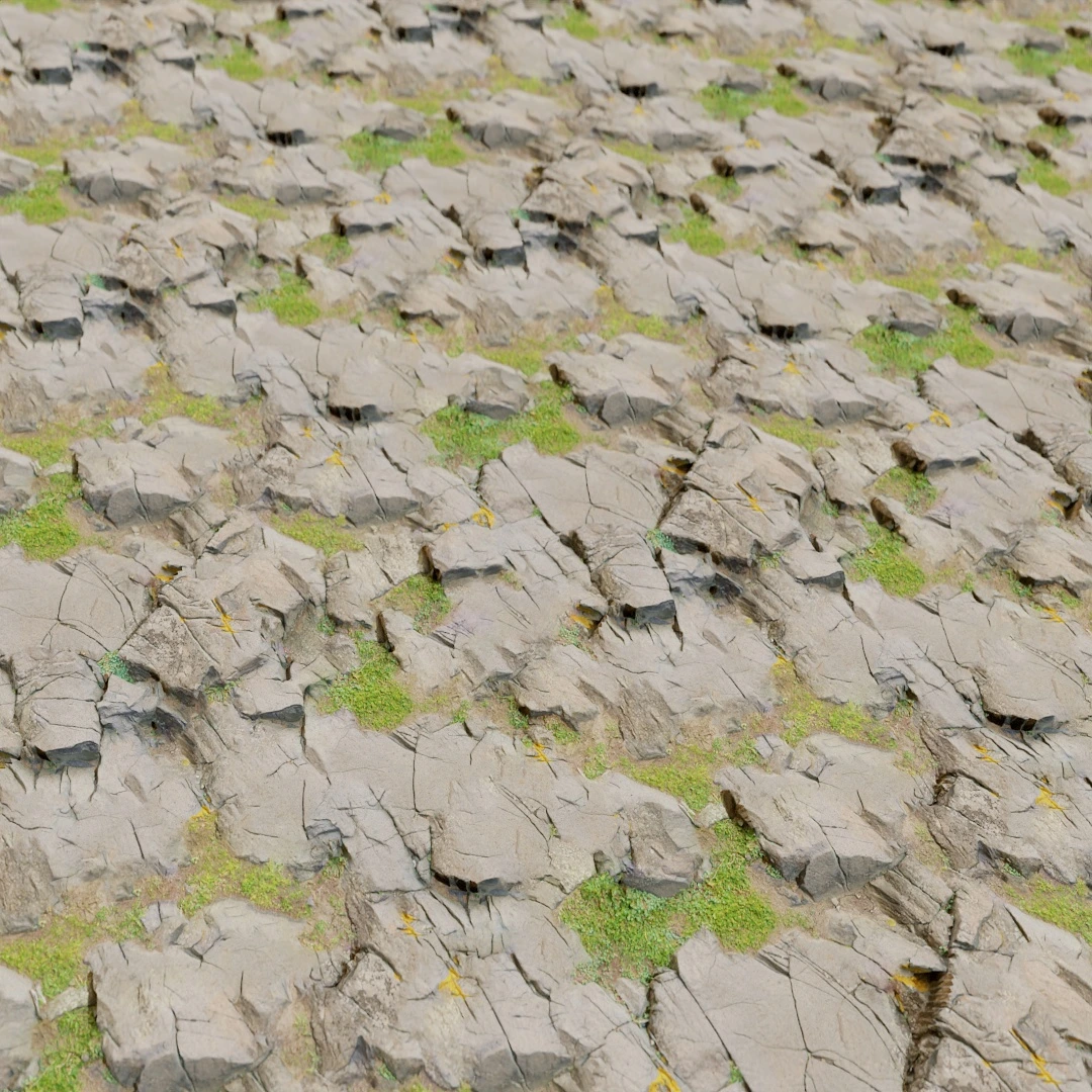Ground Mossy Rock Texture