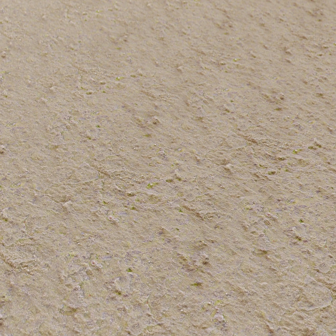 Ground Rock Texture