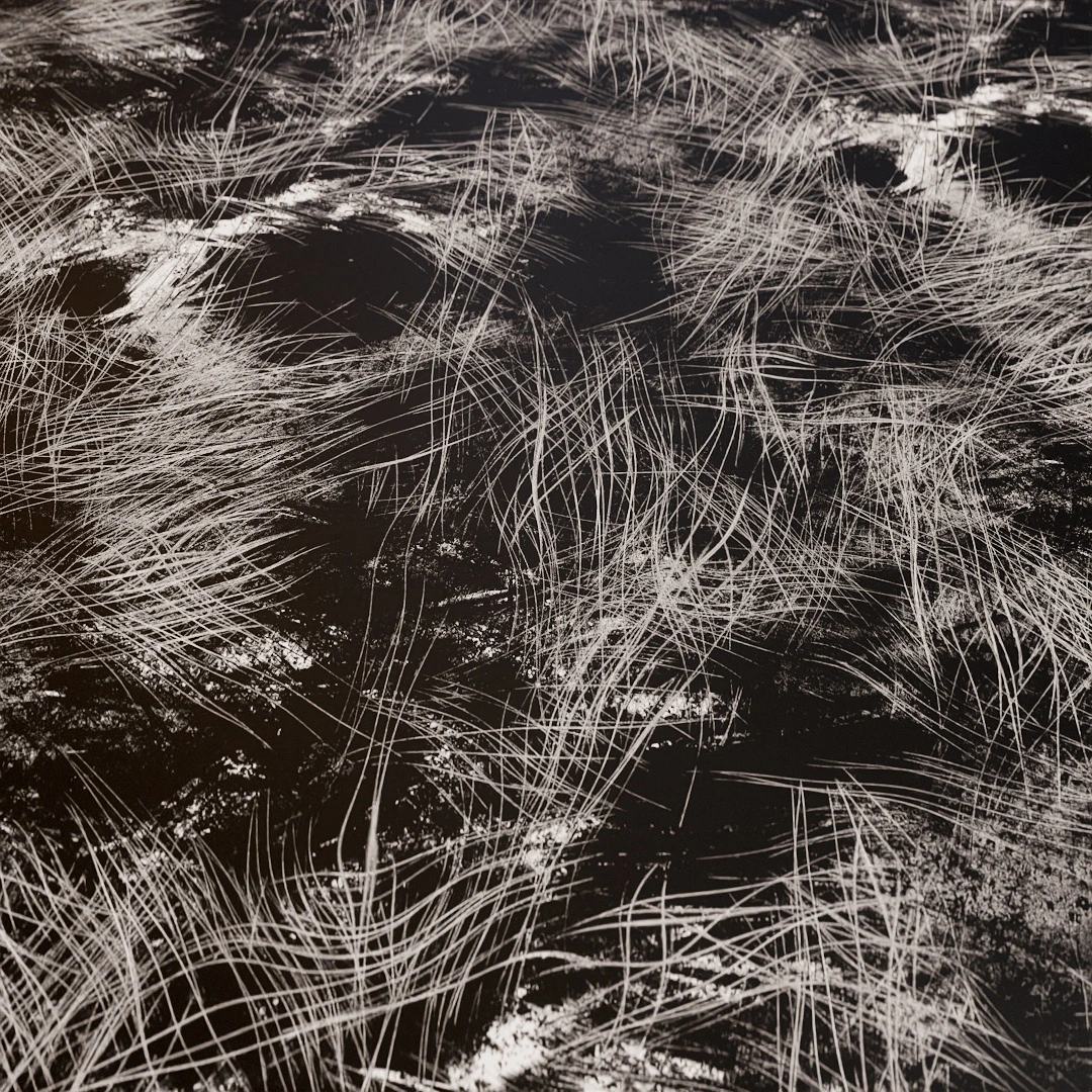 Heavily Scratches Imperfection