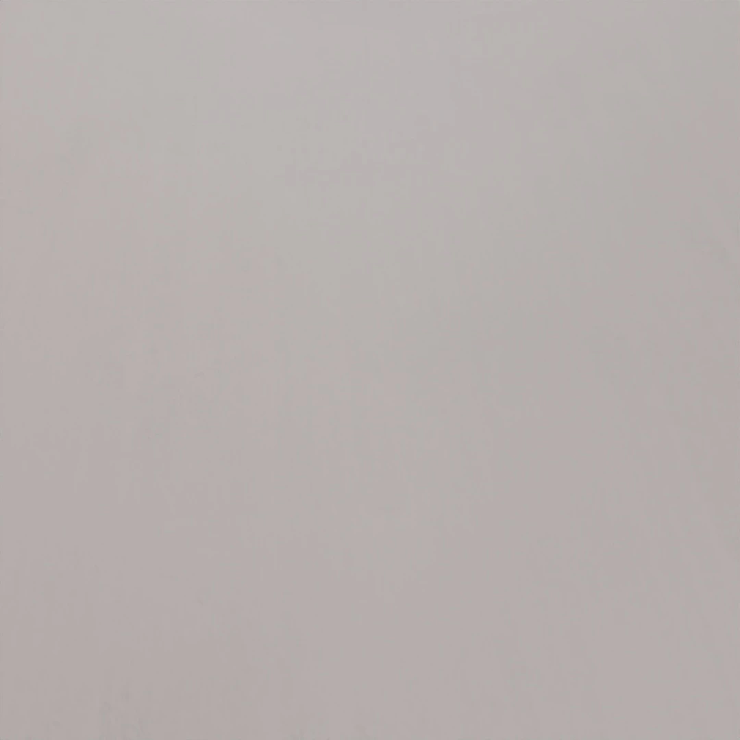 Light Gray Smooth Concrete Texture