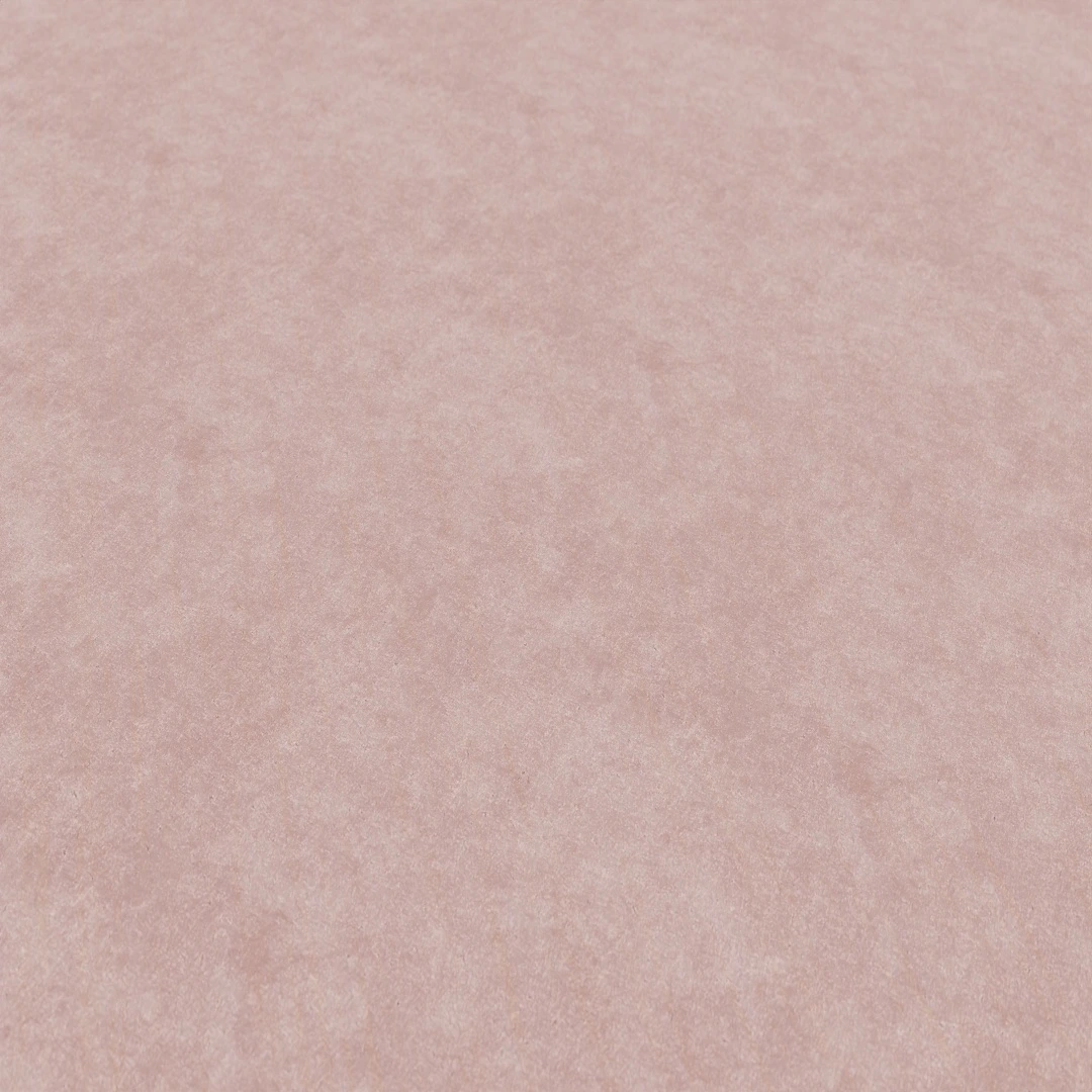 Lightly Coarse Painted Wall Texture