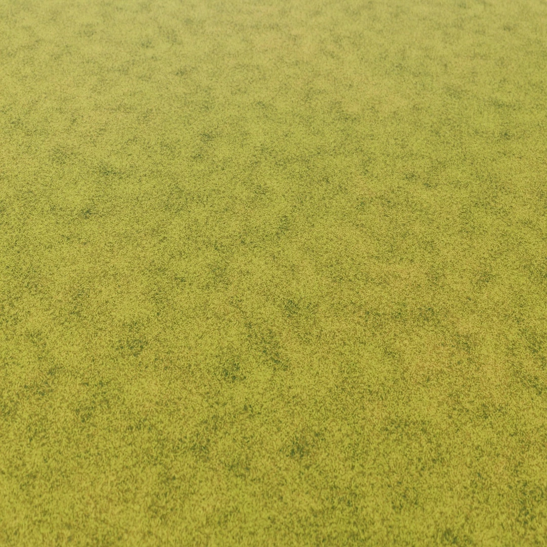 Lush Green Short Grass Texture