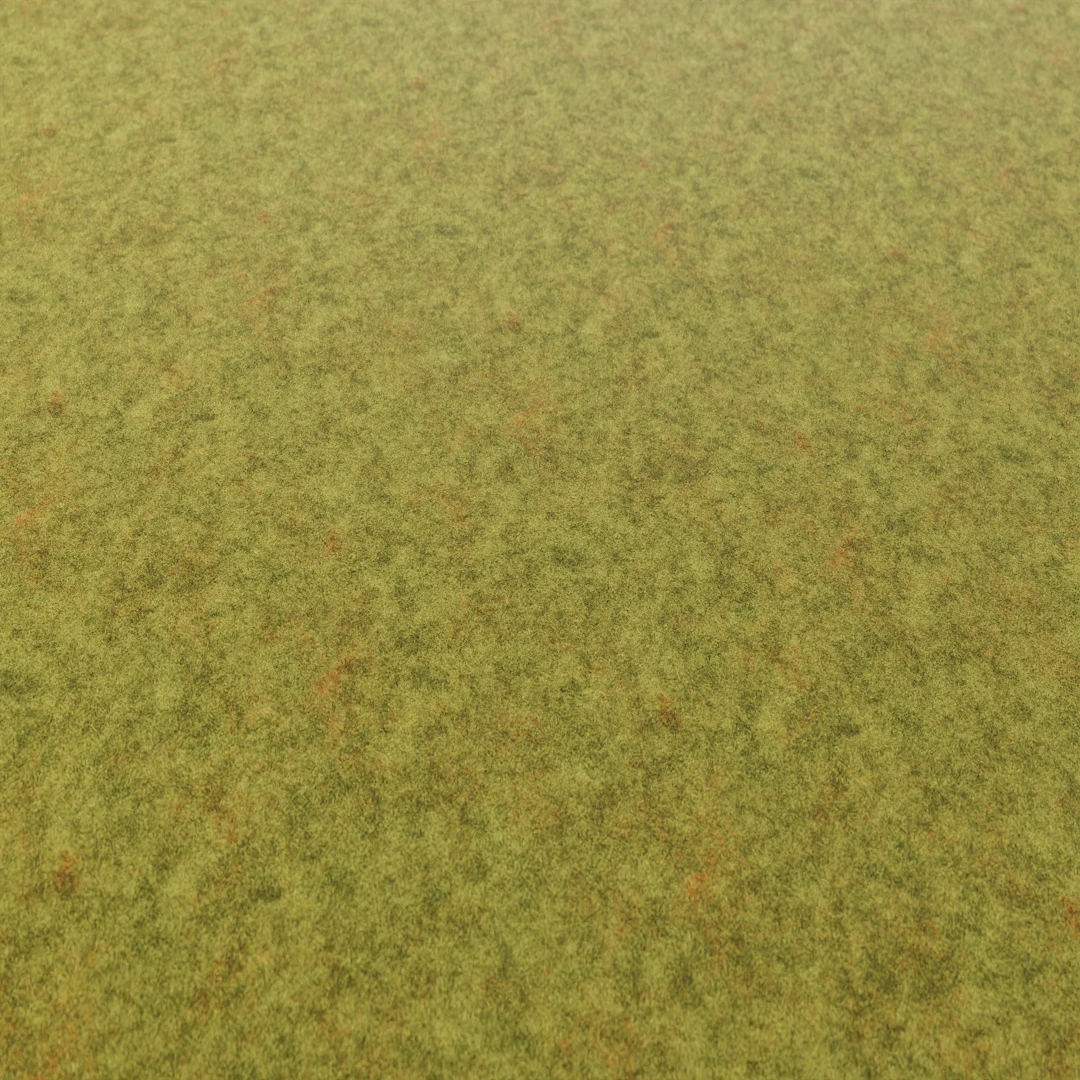 Lush Springtime Green Grass Texture