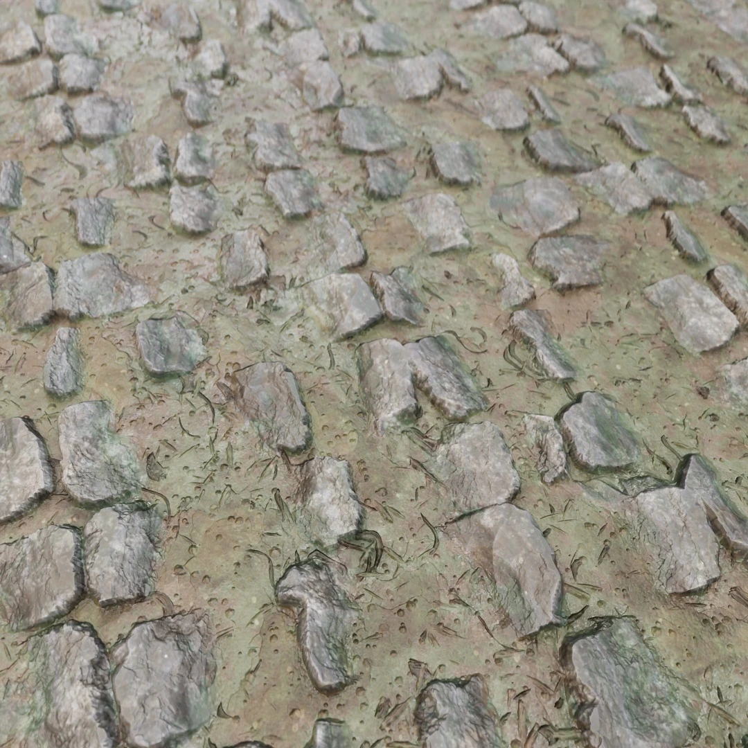 Mossy Cobblestone Path Texture