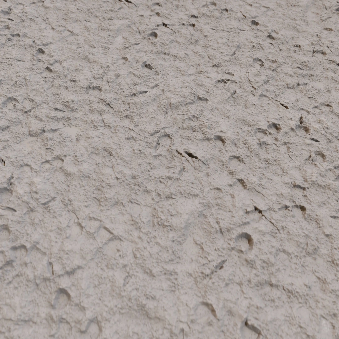 Mossy Footprint Embedded Mud Texture