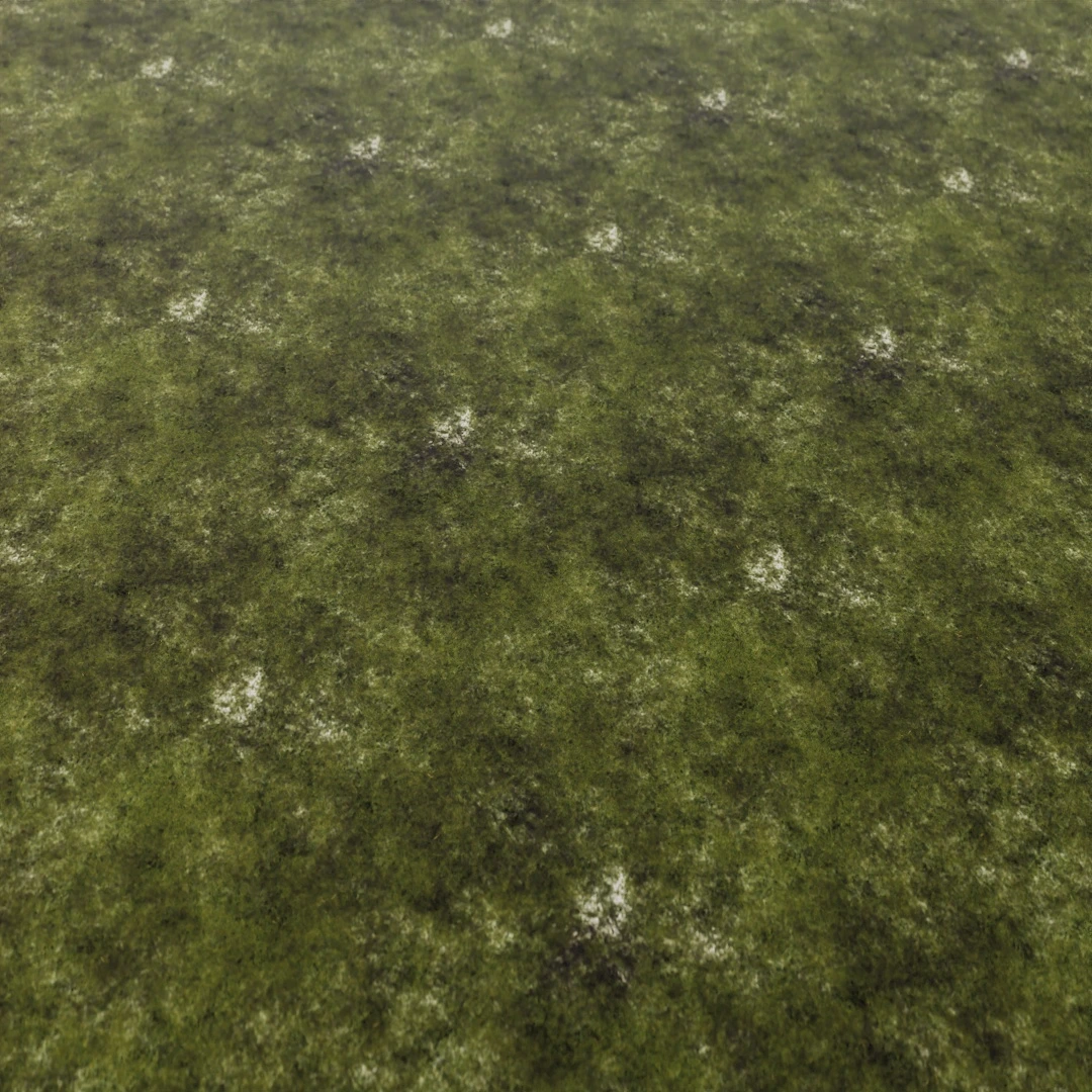 Mossy Fresh Green Grass Texture