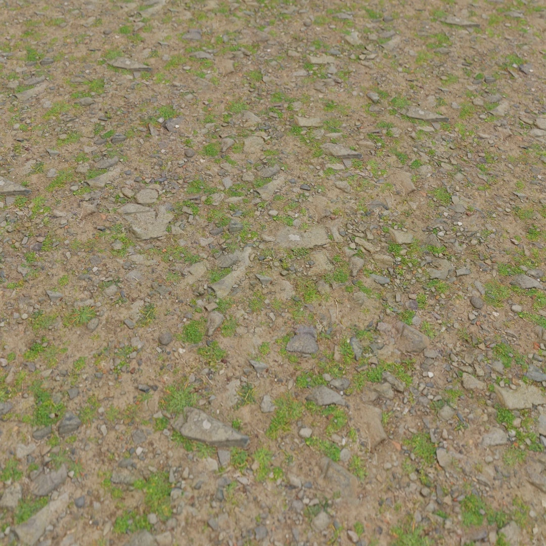 Mossy Ground Stone Texture