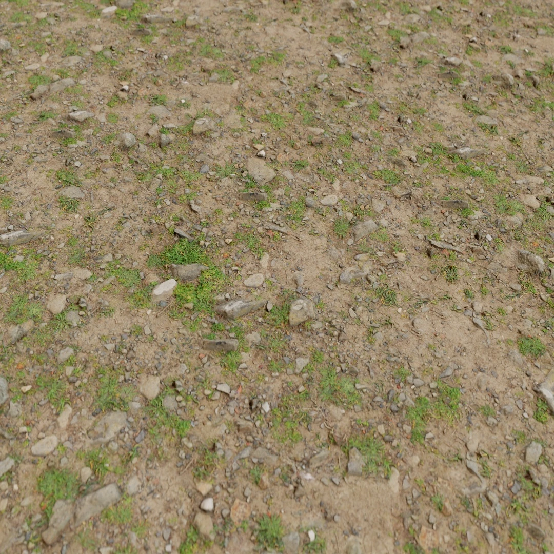 Mossy Ground Stone Texture
