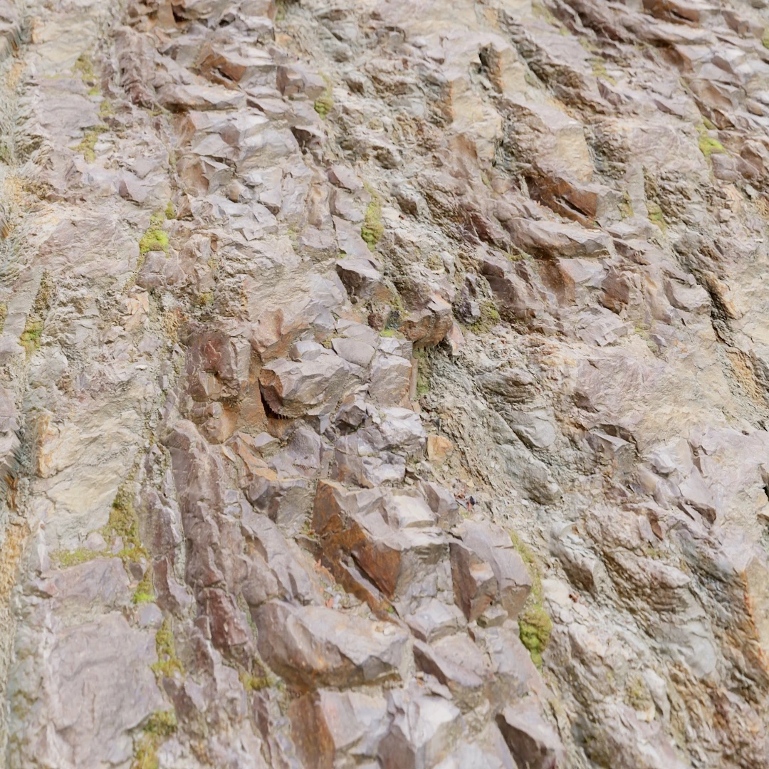 Mossy Rock Texture