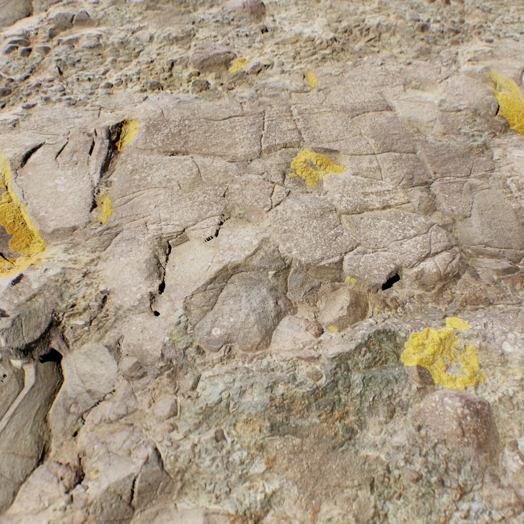 Mossy Volcanic Rock Ground Texture