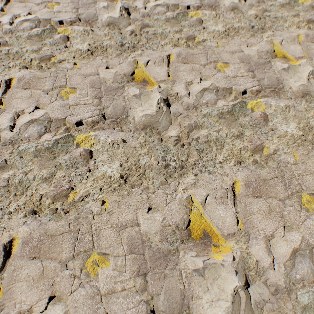 Mossy Volcanic Rock Ground Texture