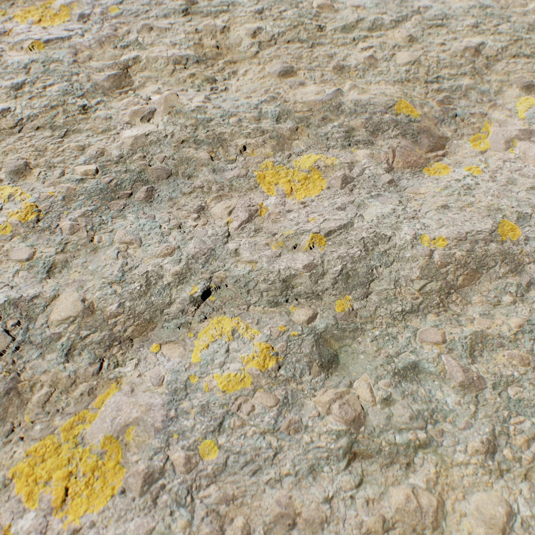 Mossy Volcanic Rock Ground Texture