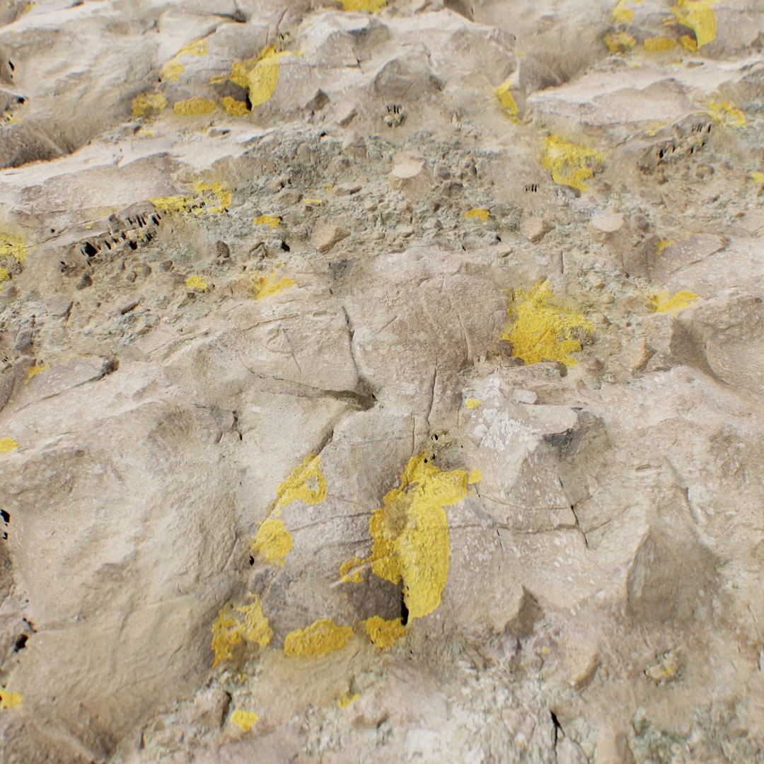 Mossy Volcanic Rock Ground Texture