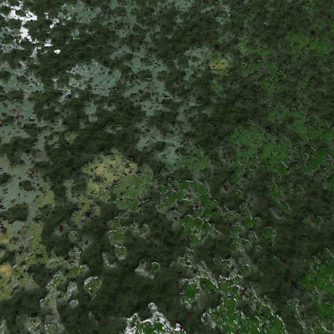 Natural Coarse Wet Mud Texture