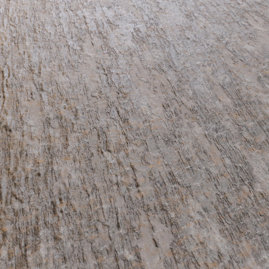 Old Rough Bark Texture