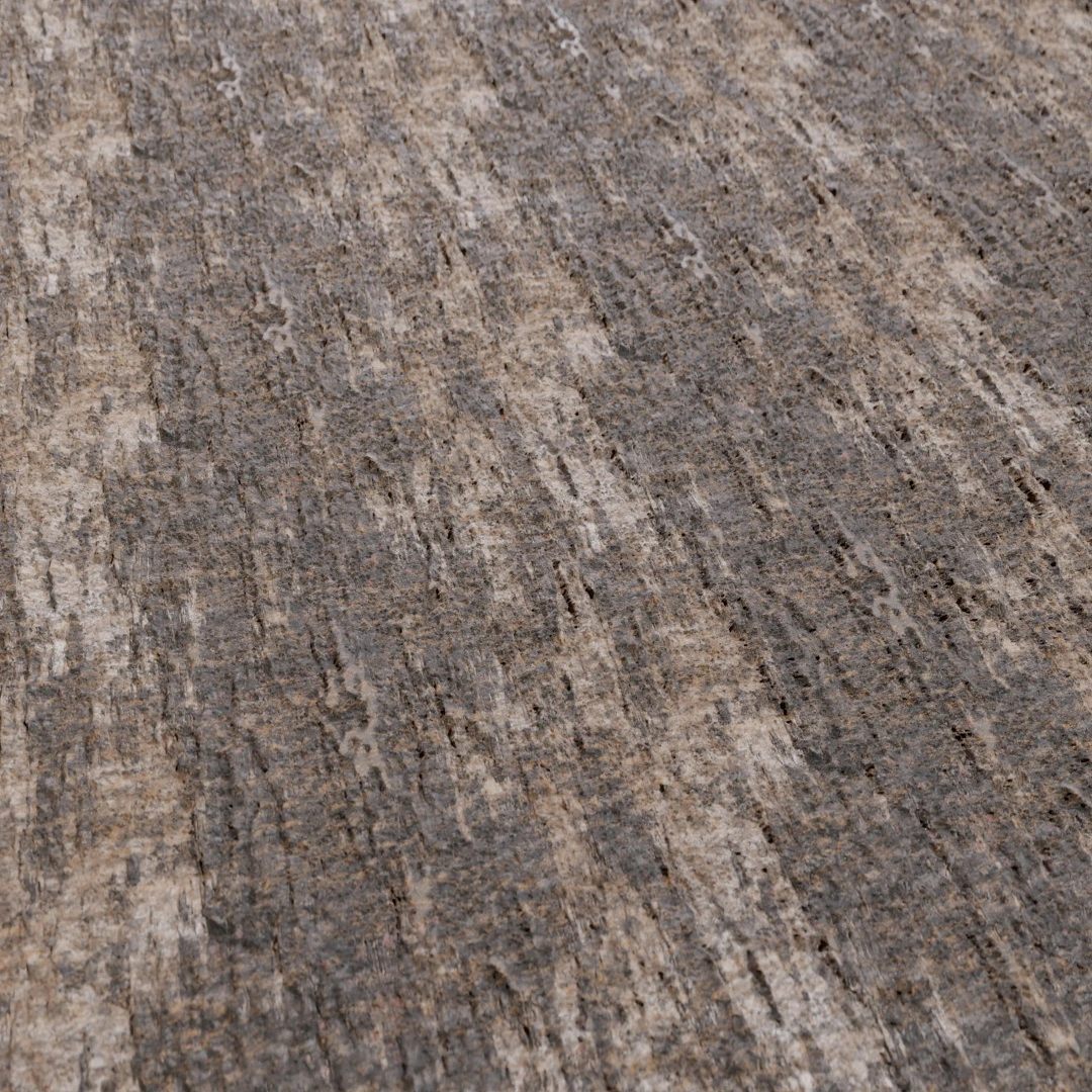 Old Rough Cracked Bark Texture