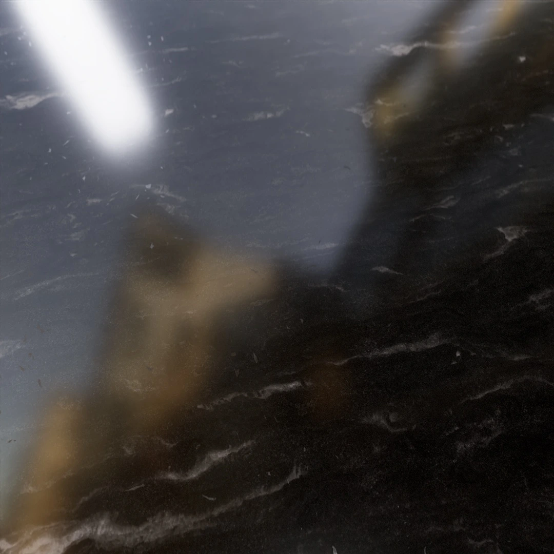 Raisin Black Marble Texture