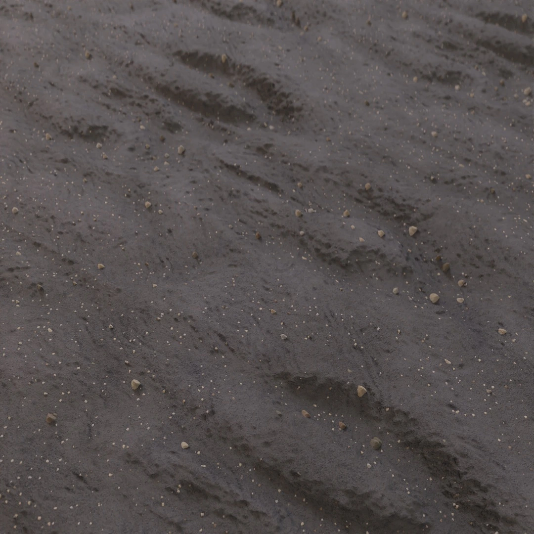 Rippled Dark Shoreline Sand Texture