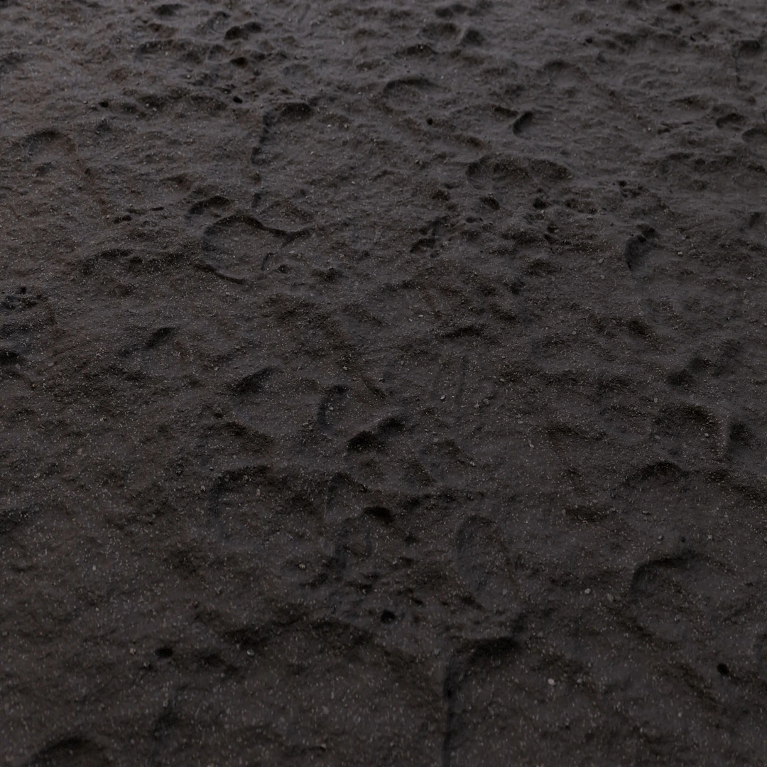 Rippled Footprint Sand Texture