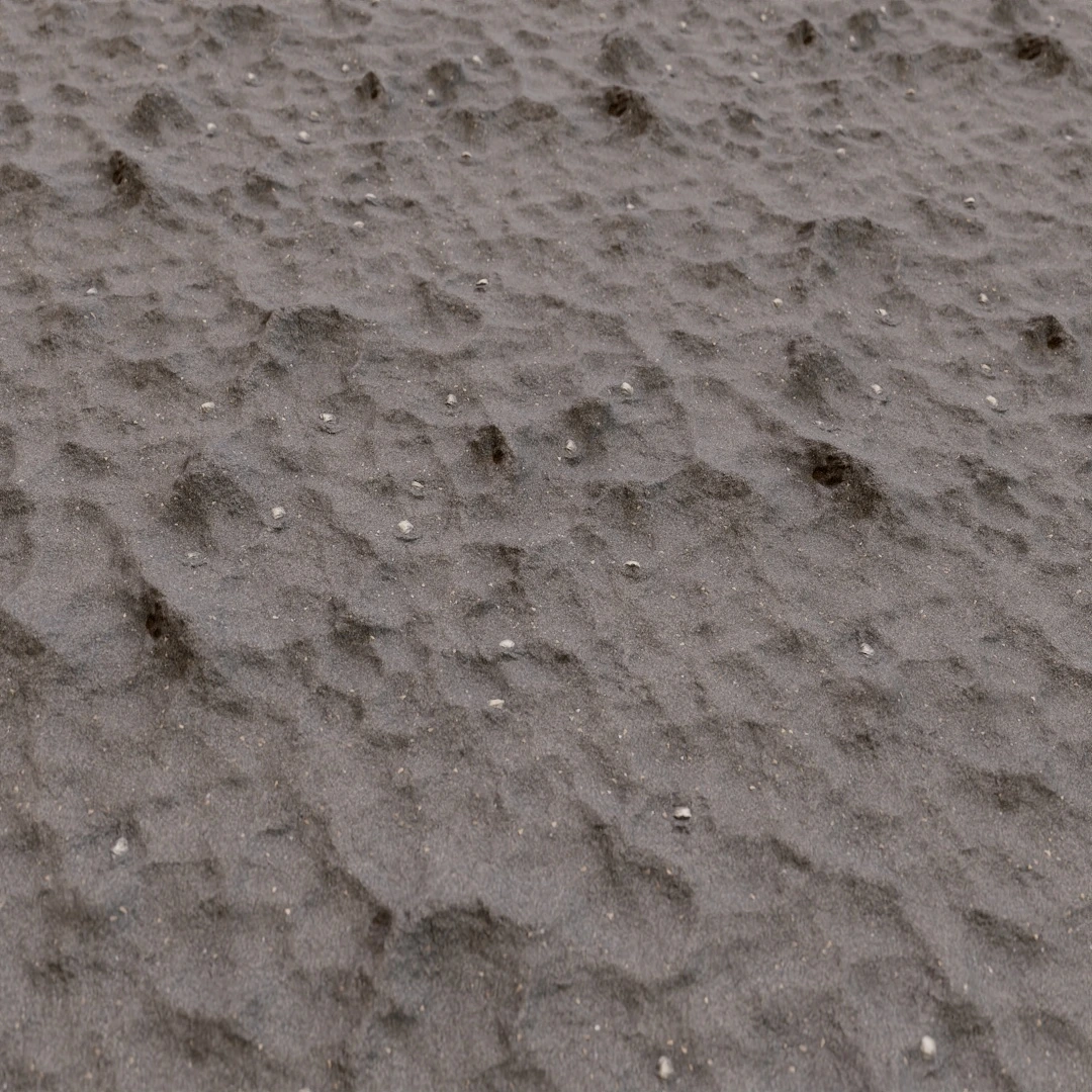 Rippled Seashell Beach Sand Texture