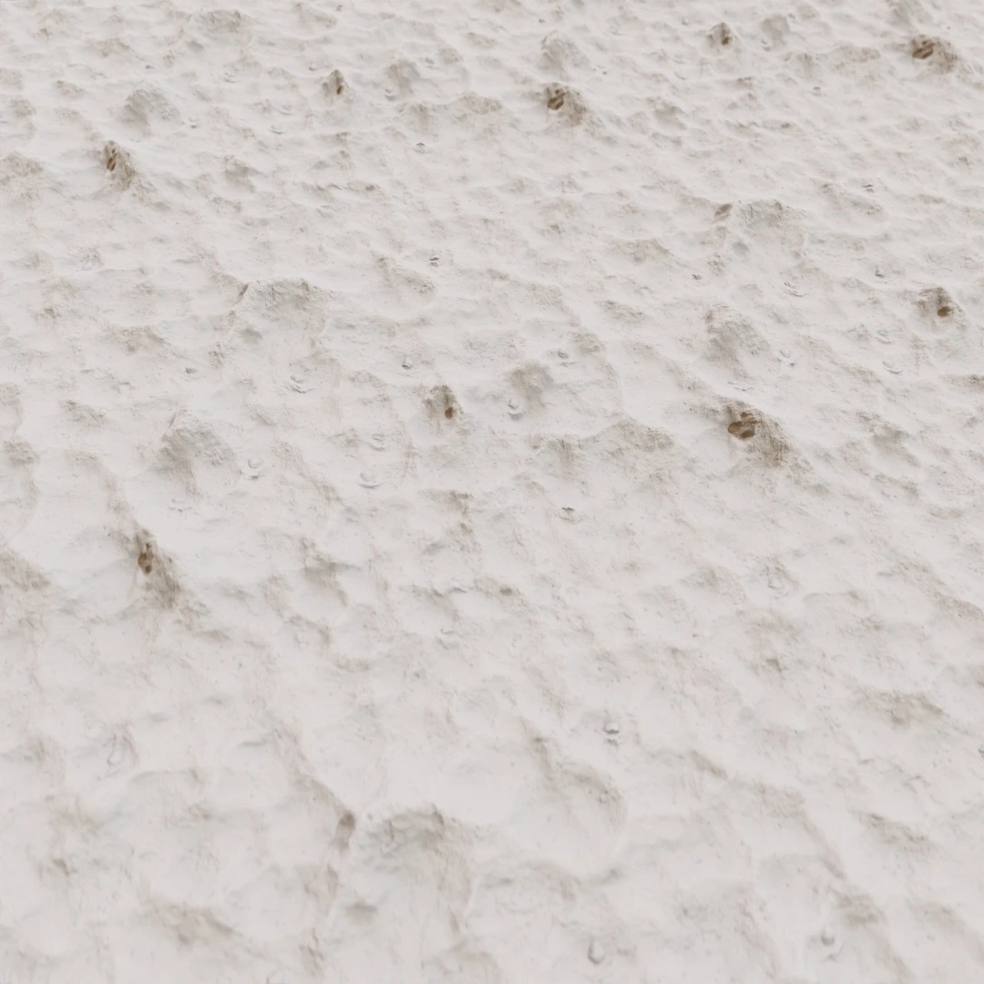 Rippled Seashell Beach Sand Texture