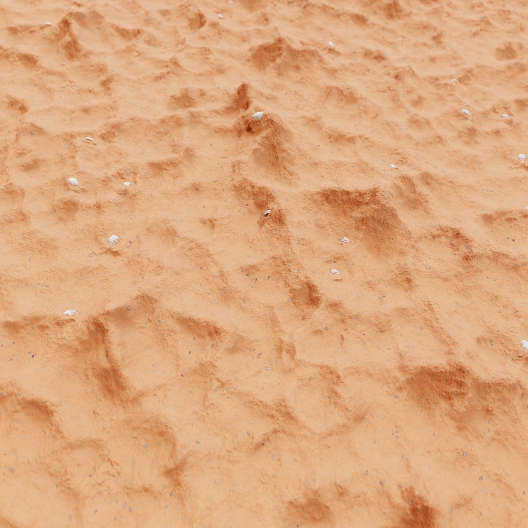 Rippled Seashell Beach Sand Texture