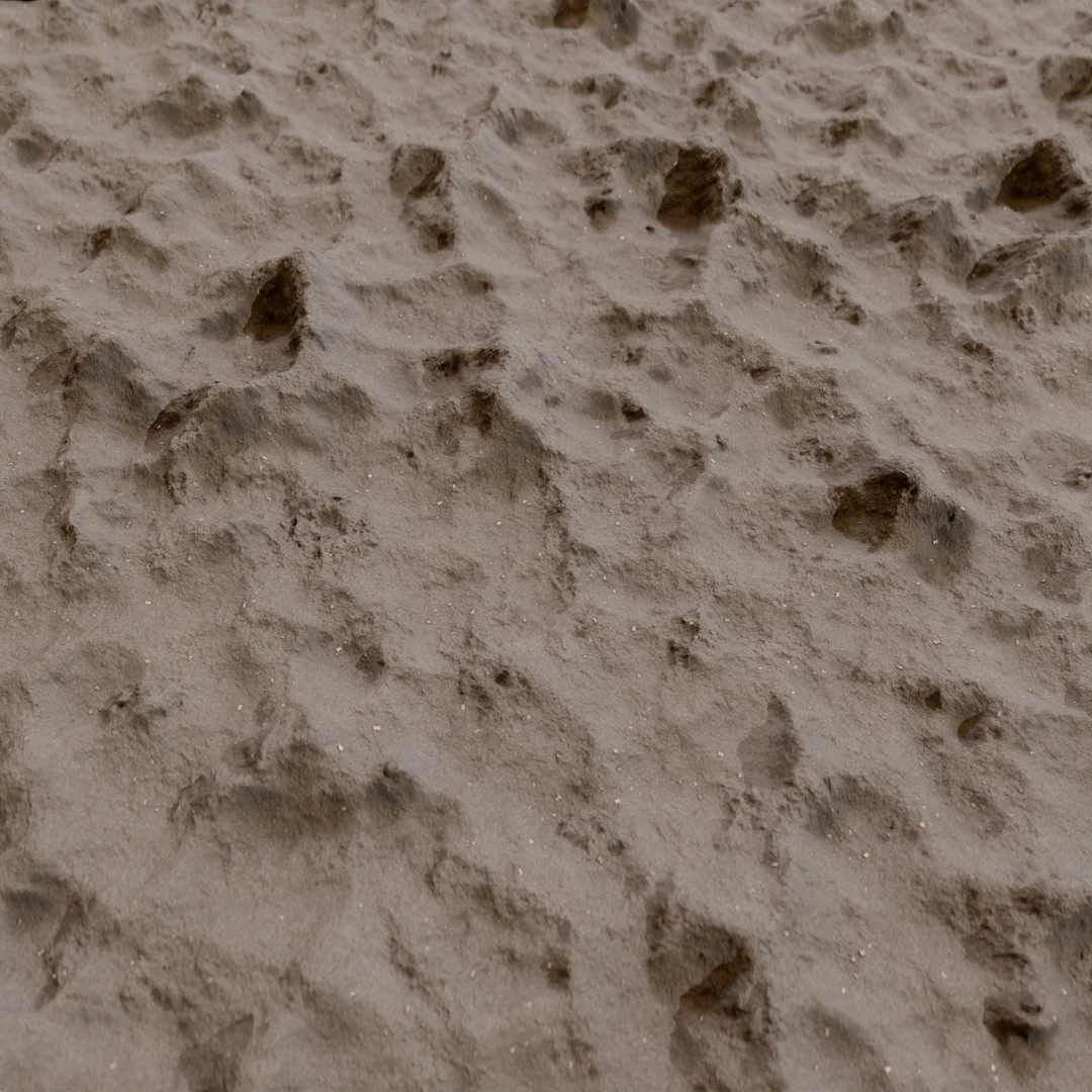 Rippled Seashore Footprint Texture