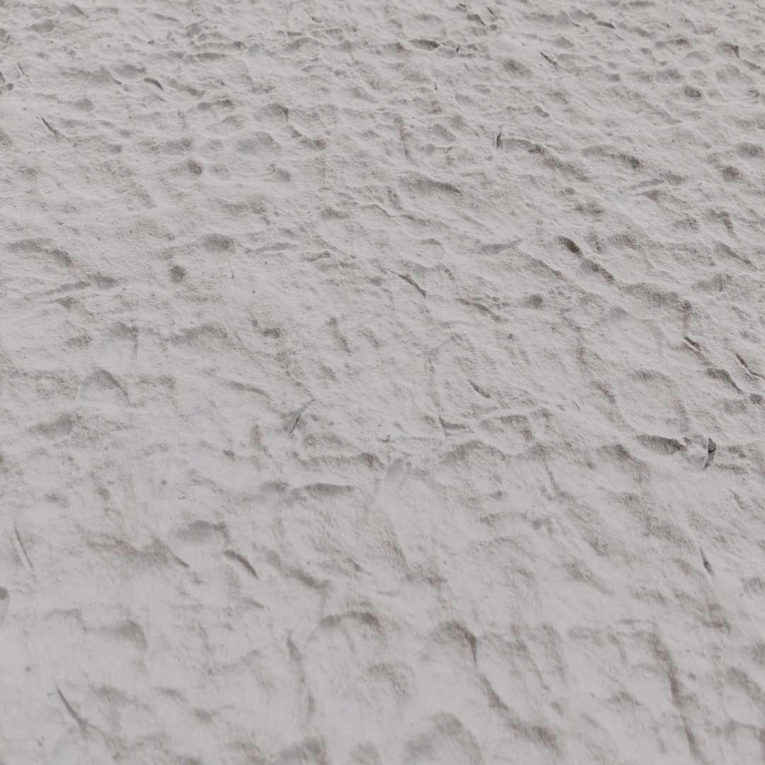 Rippled Shoeprint Beach Sand Texture