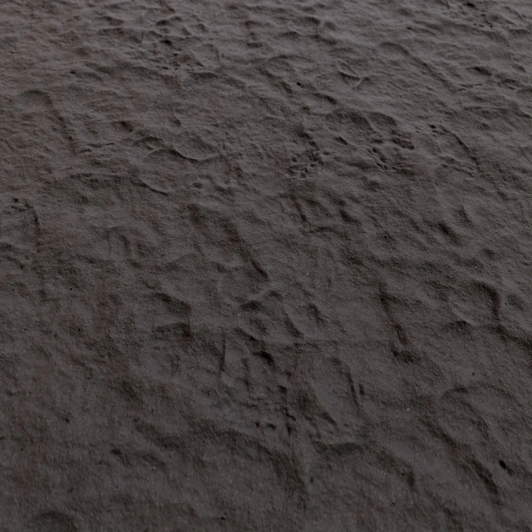 Rippled Shoreline Sand Texture