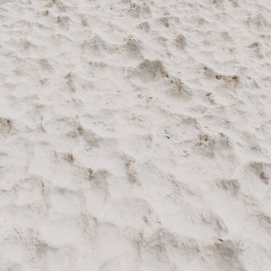 Rippled Shoreline Sand Texture
