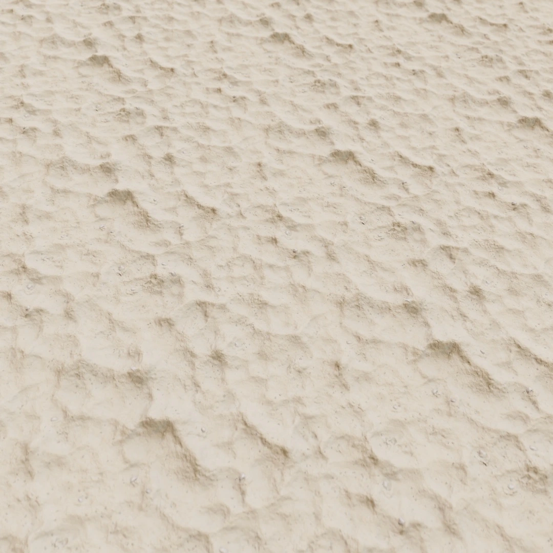 Rippled Shoreline Sand Texture