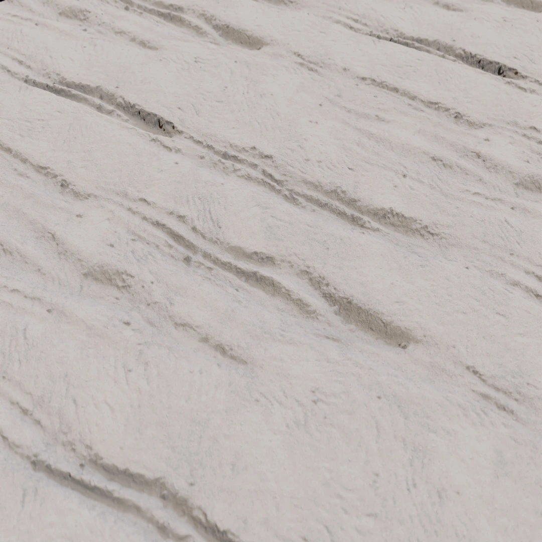 Rippled Shoreline Sand Texture