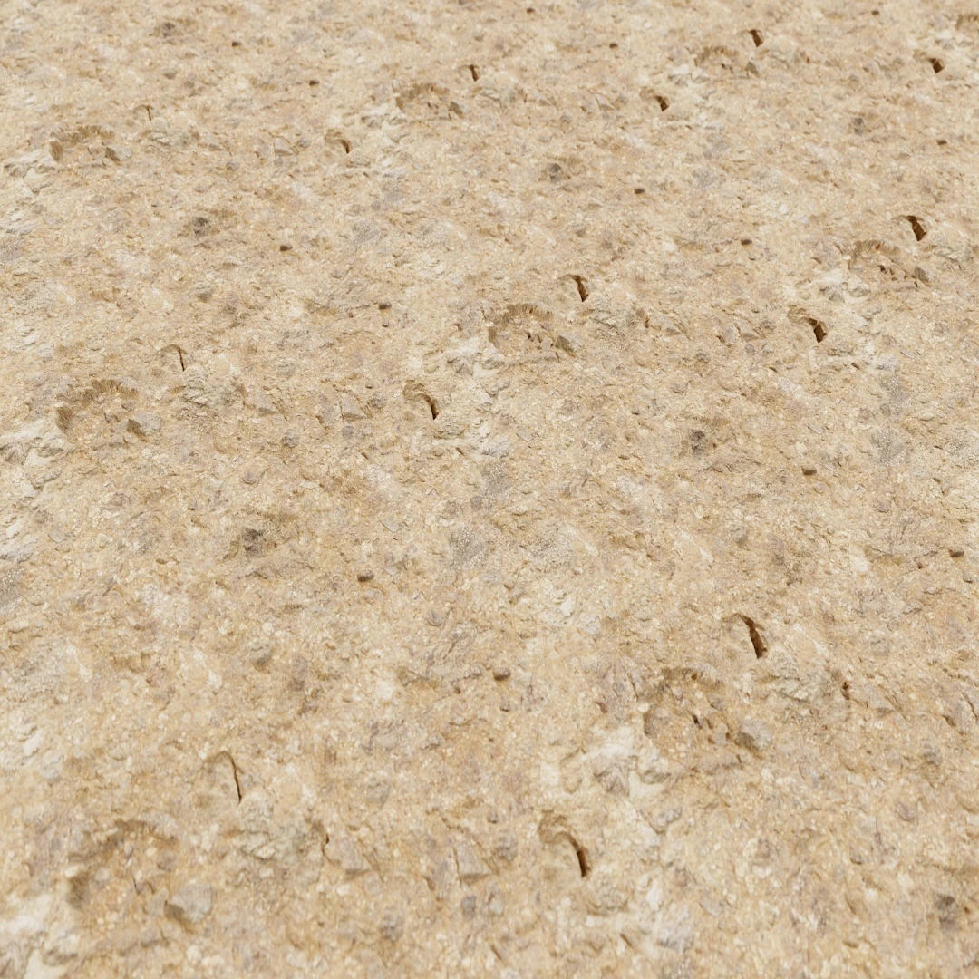 Rocky Ground Texture
