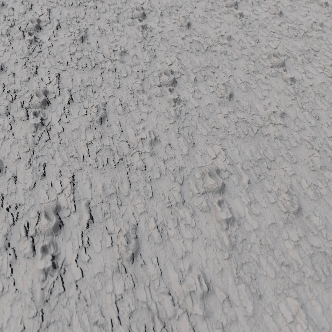 Rough Aged Bark Texture