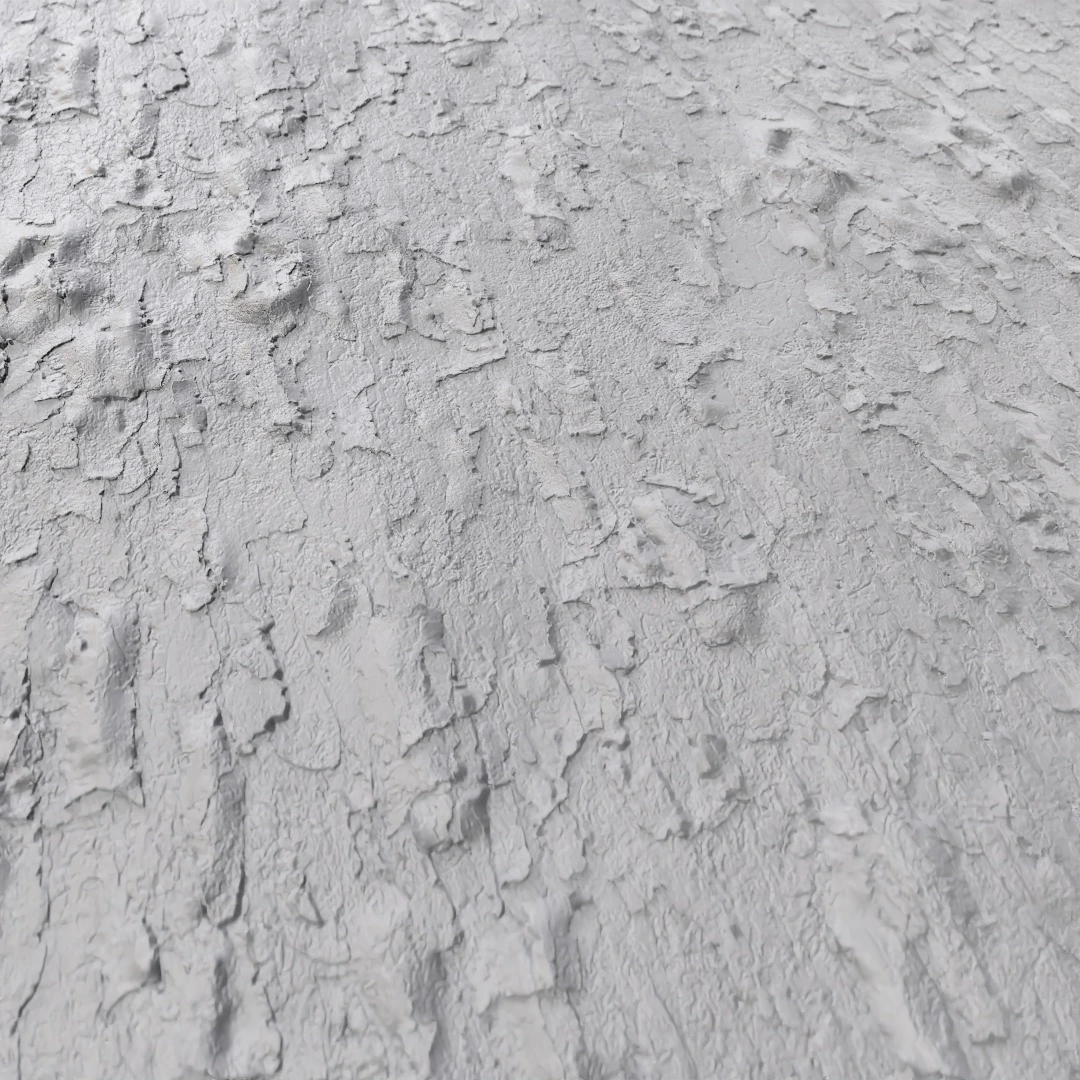 Rough Aged Bark Texture