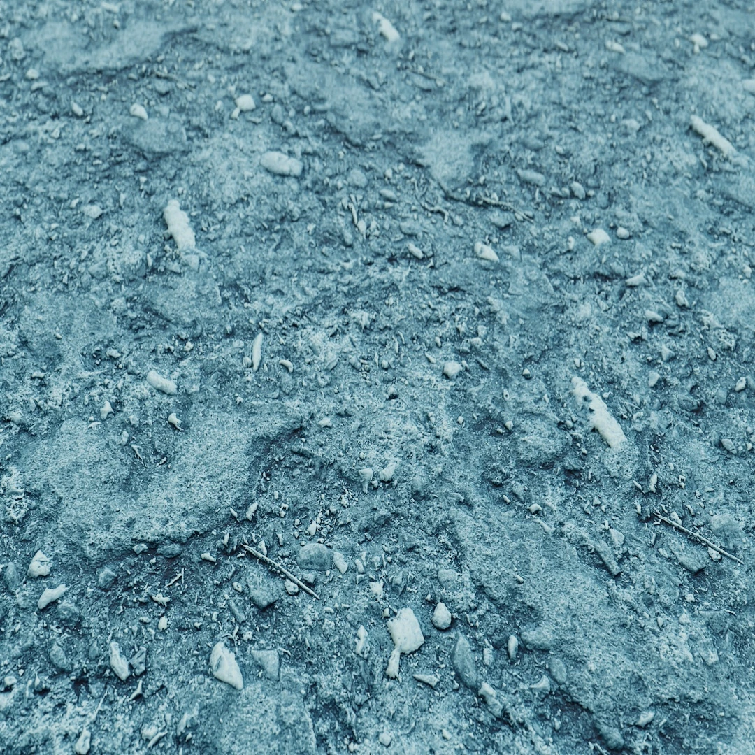 Rough Coastal Stone Texture