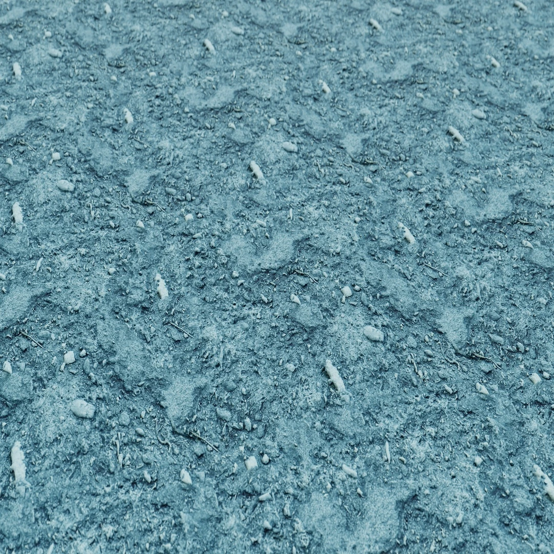 Rough Coastal Stone Texture