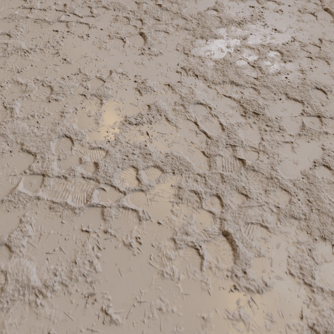 Rough Footprint Embedded Mud Texture