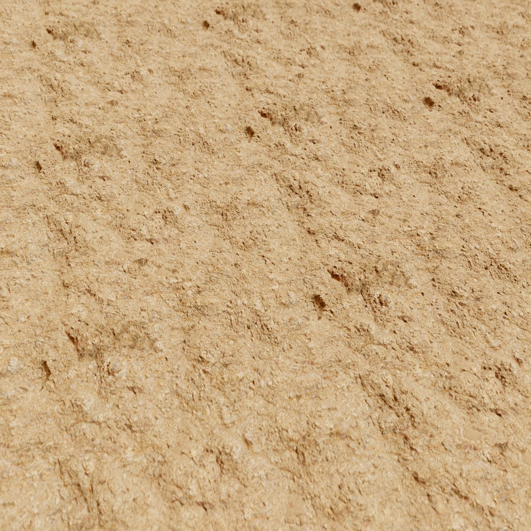 Rough Muddy Wall Texture
