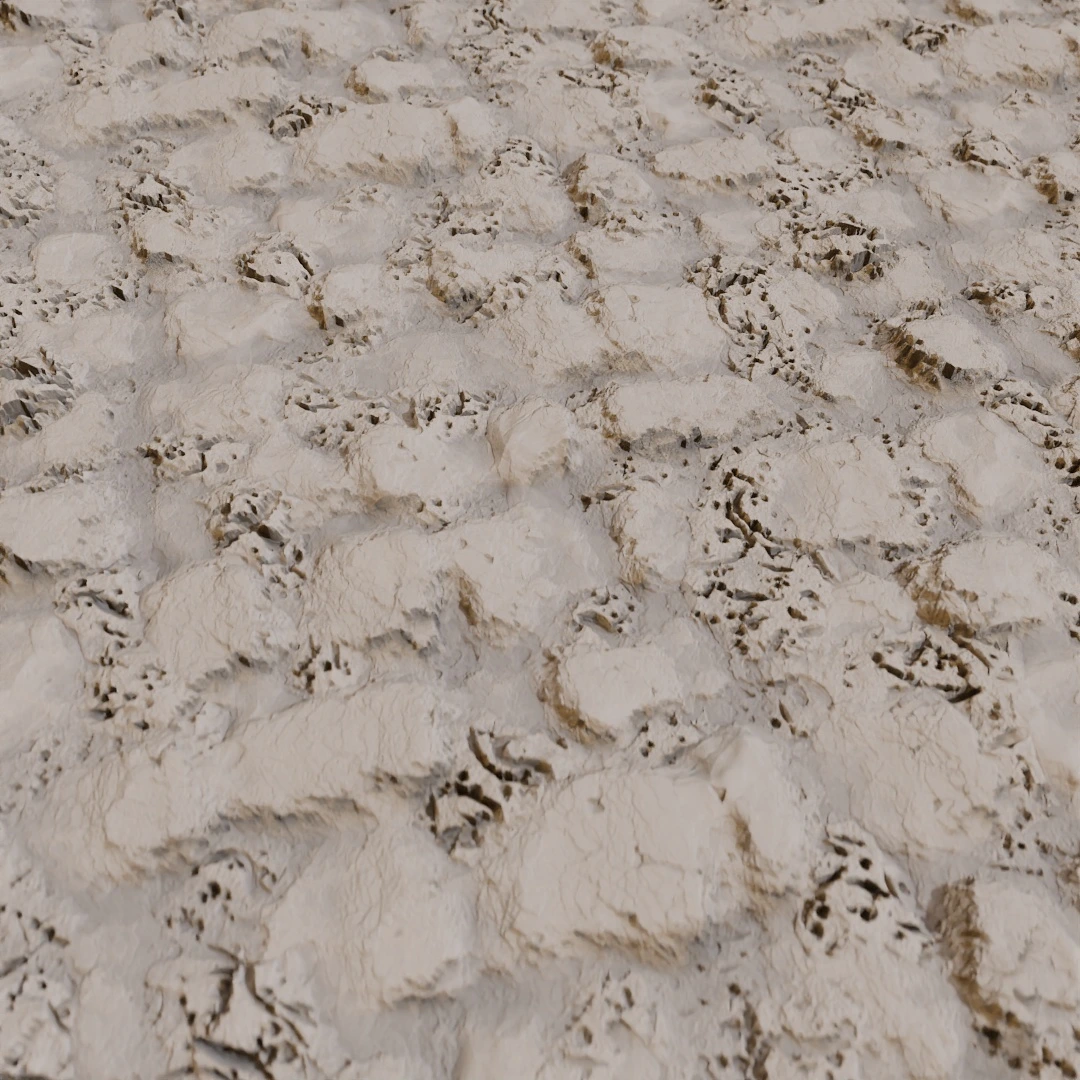 Rough Wet Mud Footprints Texture