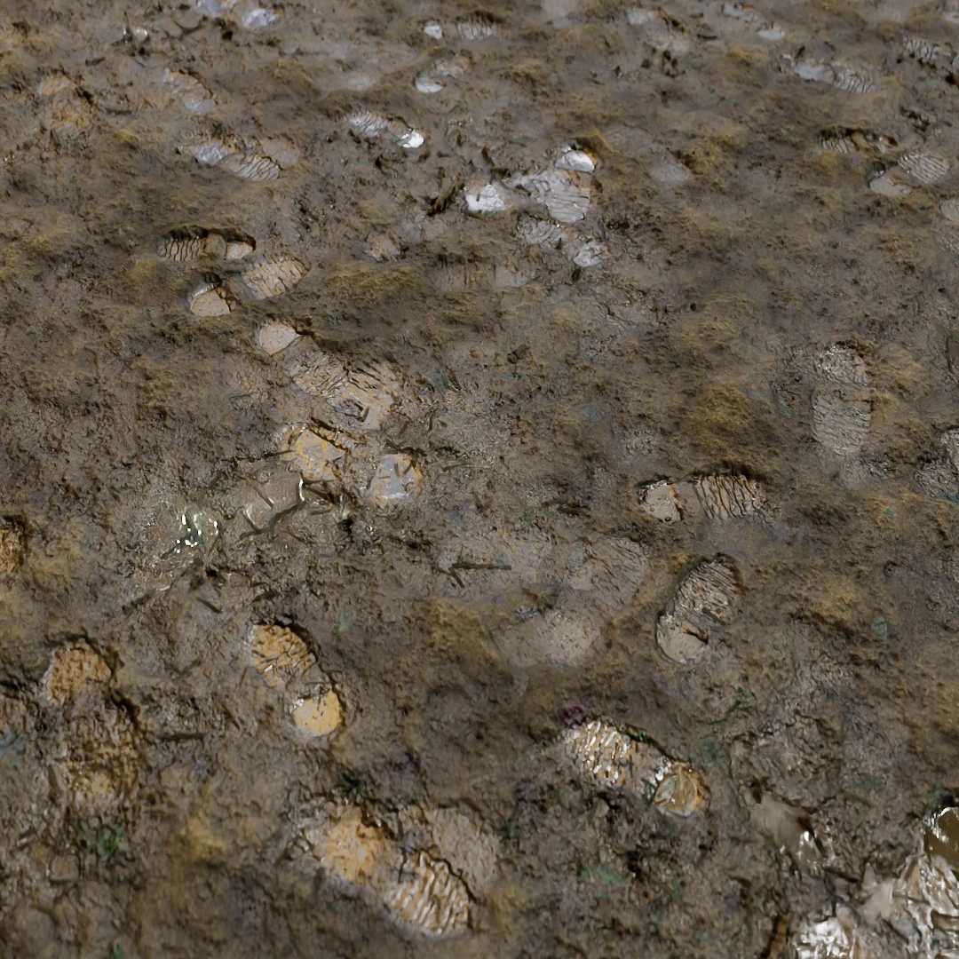 Rough Wet Mud Impressions Texture
