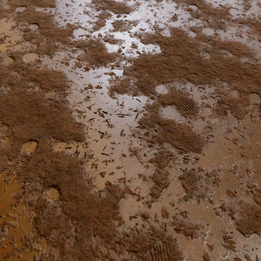 Rough Wet Mud Impressions Texture