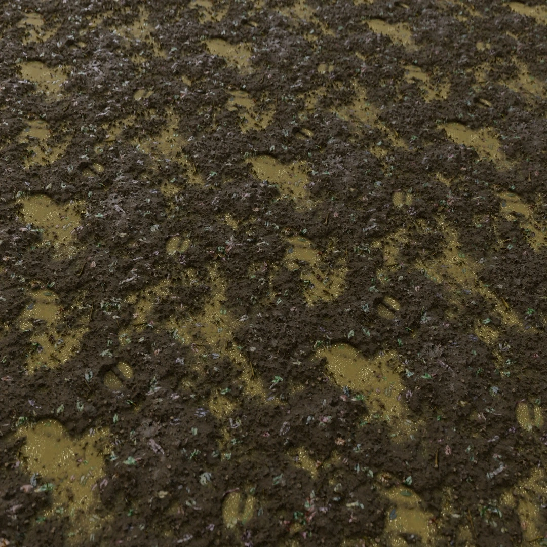 Rough Wet Mud Texture