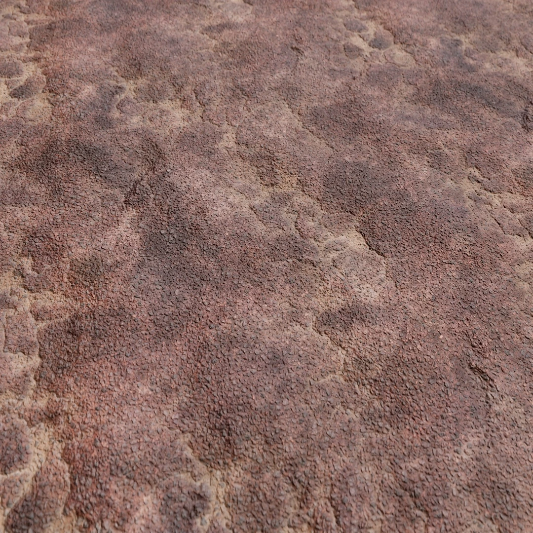 Rustic Cracked Asphalt Texture